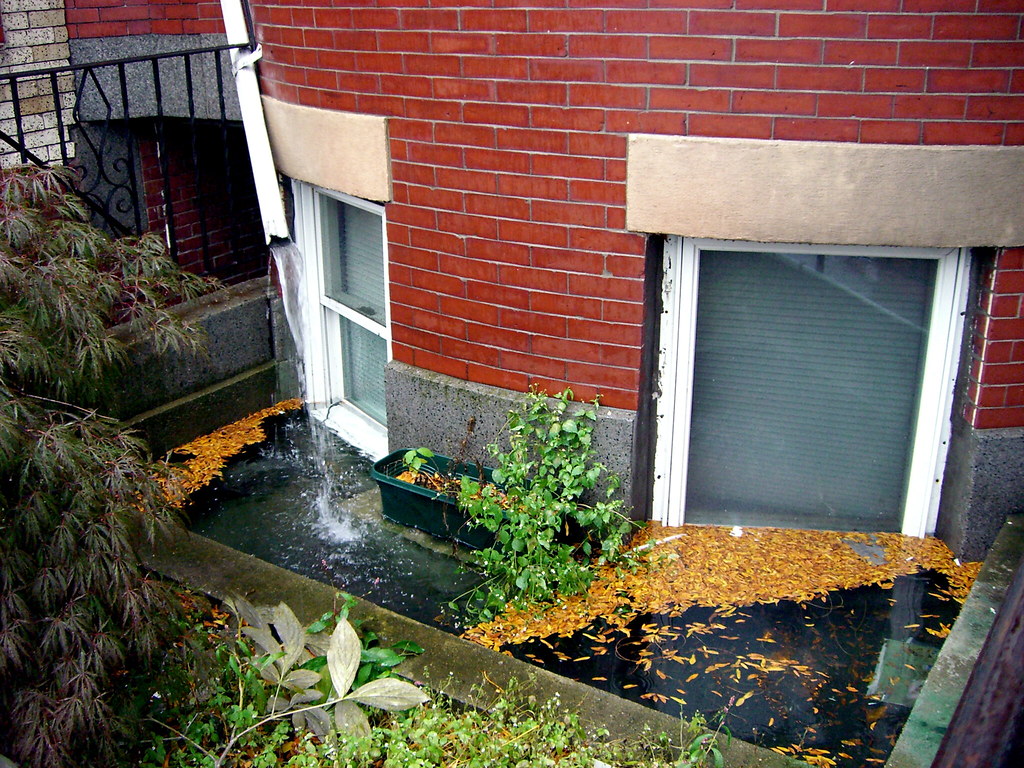 Don't open that window