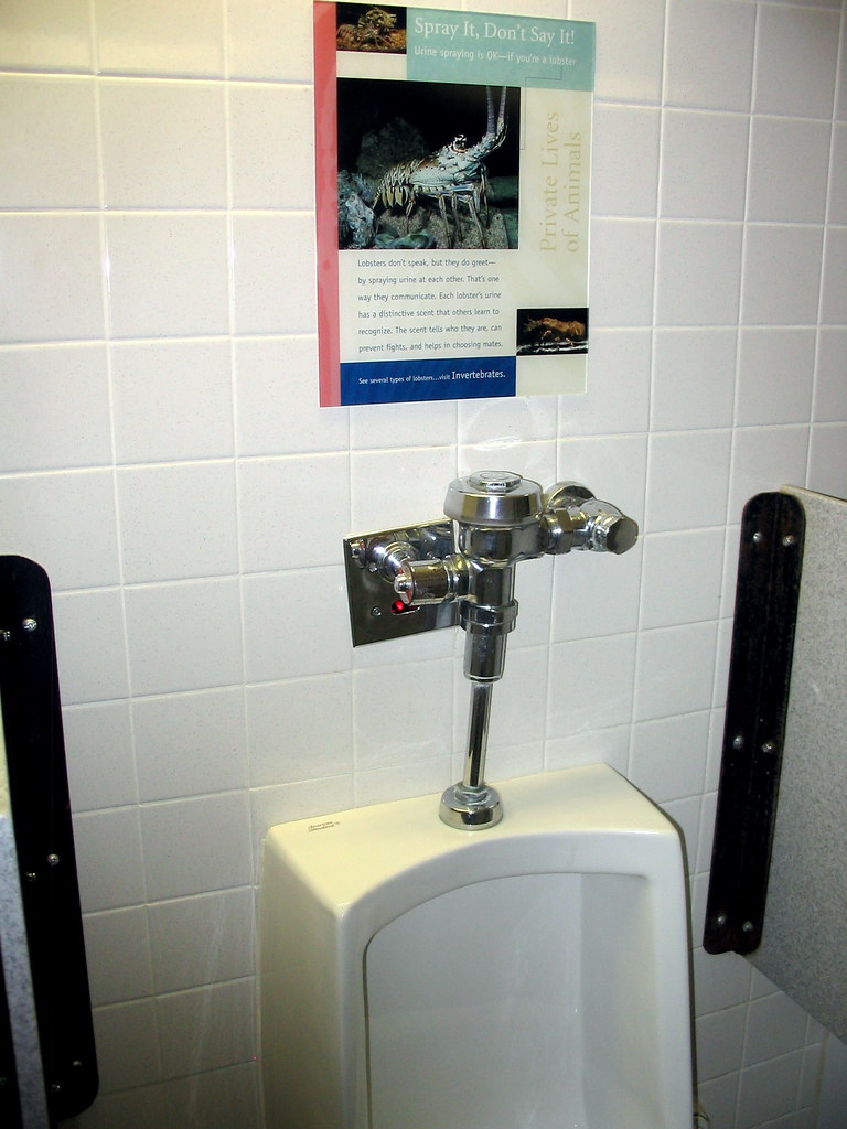 Education + Urinal = Edurinal