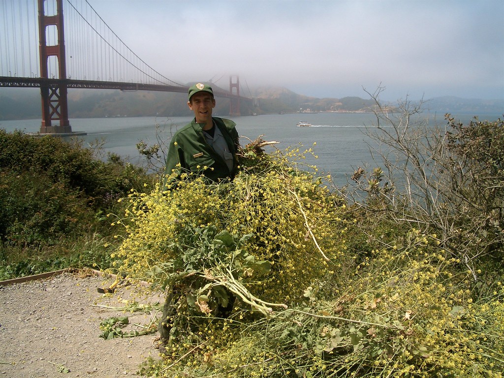 Invasive species removal