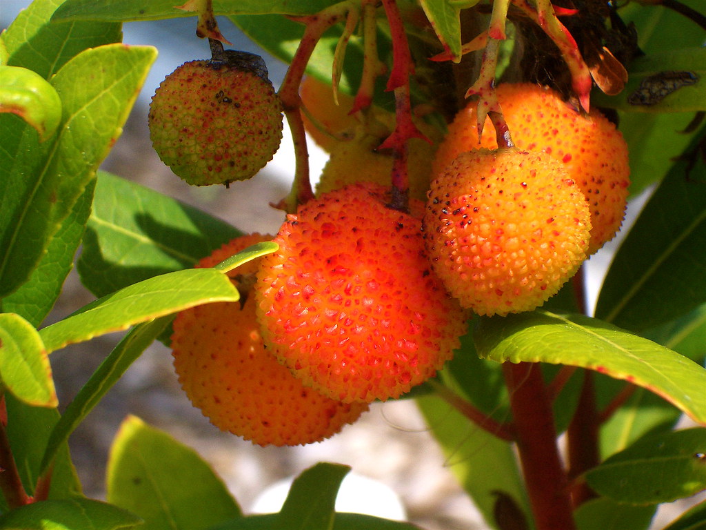 Not too much to taste