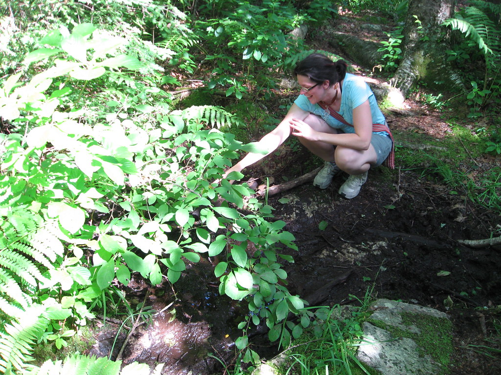 Helen sees something