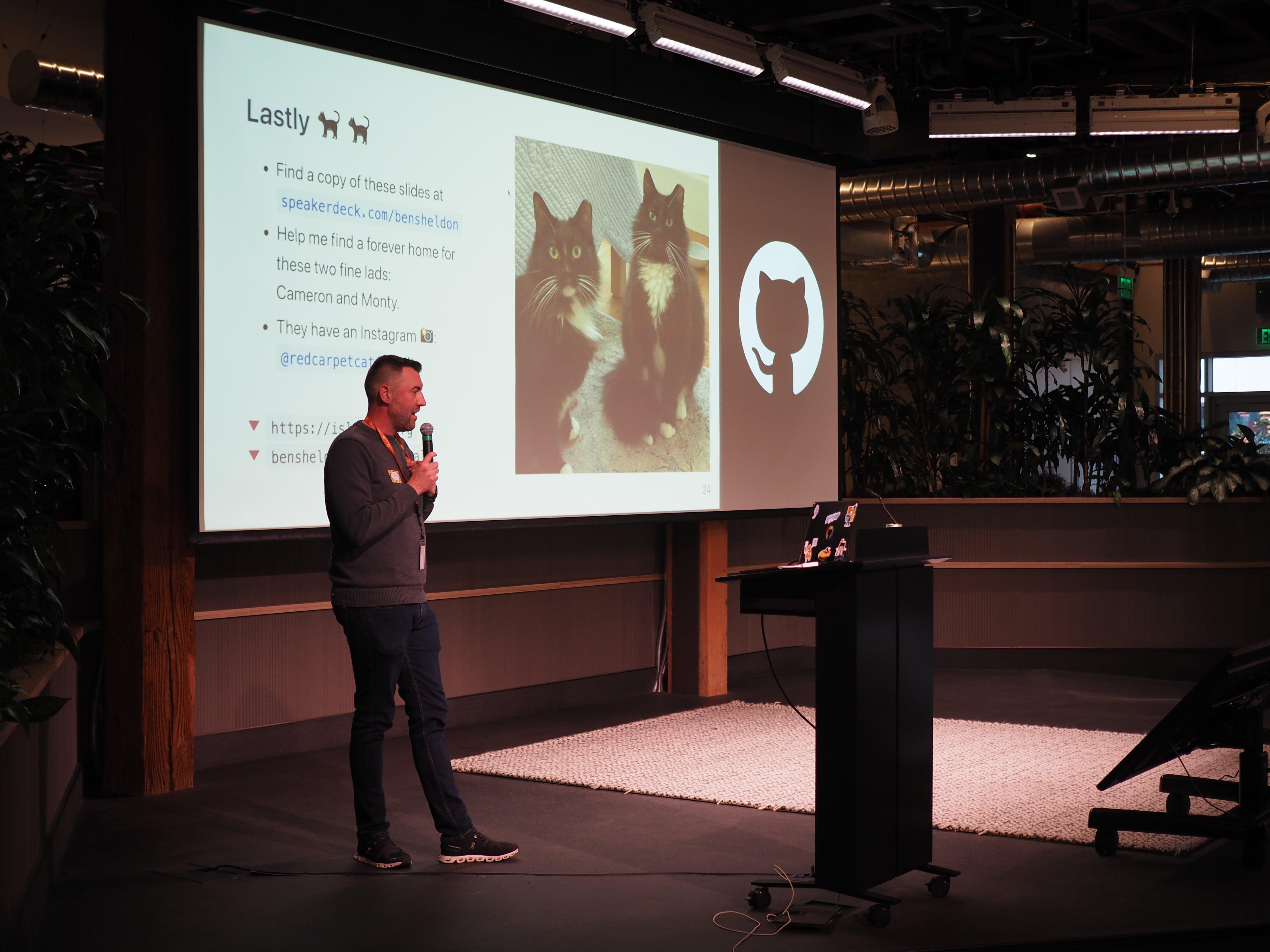 Me standing on a small stage in front of a slide with 2 adoptable cats and the GitHub logo